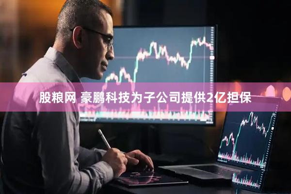股粮网 豪鹏科技为子公司提供2亿担保